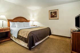 Quality Inn & Suites University