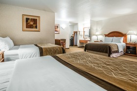 Quality Inn & Suites University