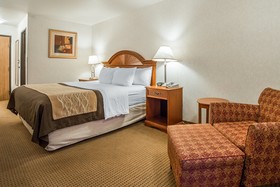 Quality Inn & Suites University