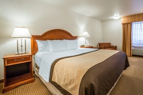 Quality Inn & Suites University
