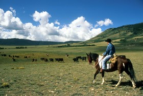 Vee Bar Guest Ranch
