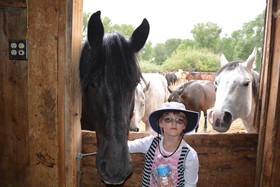 Vee Bar Guest Ranch