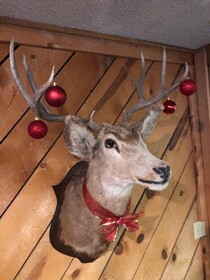Timber Ridge Lodge