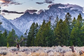 Four Seasons Resort and Residences Jackson Hole