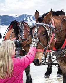 Four Seasons Resort and Residences Jackson Hole