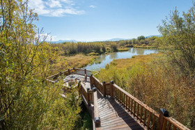 Abode at Swinging Bridge