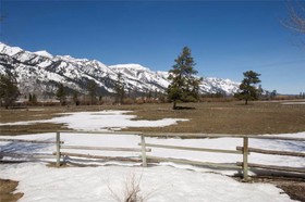 Cove Condominiums