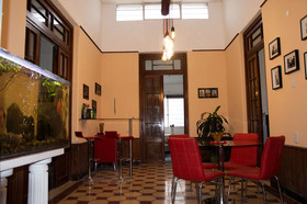 Cane B&B