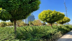 Holiday Inn Tashkent City, an IHG Hotel