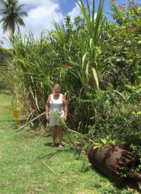 Firefly Plantation Bequia