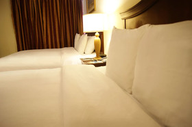 Hotel Las Palmas Inn