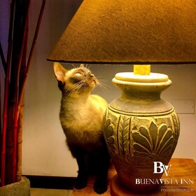 Buenavista Inn
