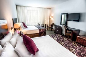 Lidotel Hotel Boutique Barquisimeto