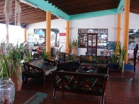 Tropical Refuge