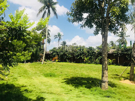 Bao Gia Trang Vien Homestay