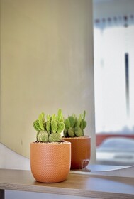 Be Tong Residences Homestay