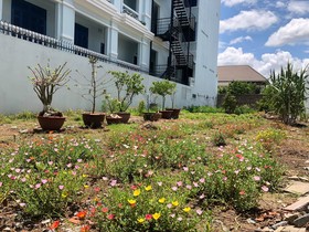 Cu Lao Xanh Homestay