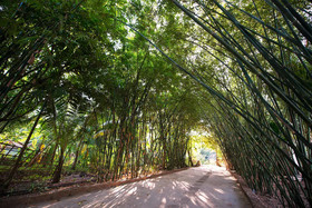 Mekong Rustic Can Tho