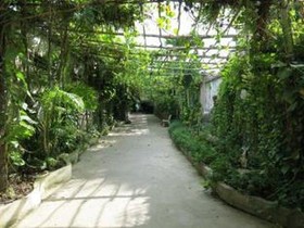 Ngoc Nho Guest House