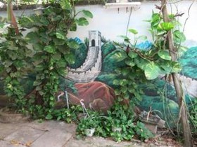 Ngoc Nho Guest House