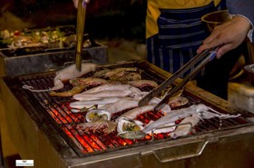 Coco Palm Beach Resort & Spa