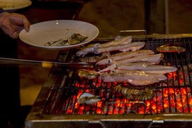 Coco Palm Beach Resort & Spa