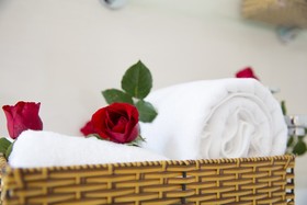 Little Garden Bungalow