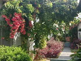 Sunshine Bungalow Phu Quoc