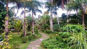 Thanh Kieu Beach Resort