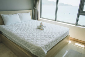 Blue Ocean Apartment