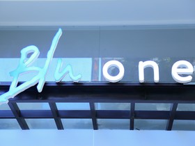 Blu One