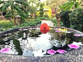 Diamond Bay Resort & Spa