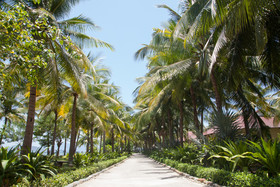 Diamond Bay Resort & Spa