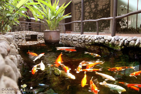 Diamond Bay Resort & Spa