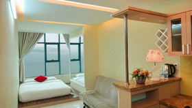 Handy Holiday Beach Apartment
