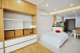 Handy Holiday Beach Apartment