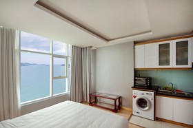Handy Holiday Beach Apartment