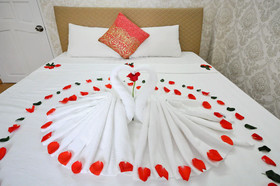 Pansy Hotel by OYO Rooms