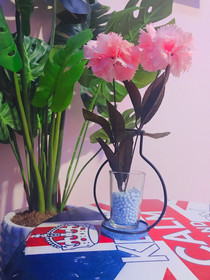 Seaside House Homestay