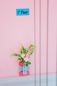 Seaside House Homestay