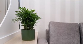 Trobee Nha Trang - Oceanus Condos