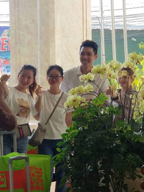 Volga Nha Trang Hotel