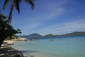 Whale Island Resort