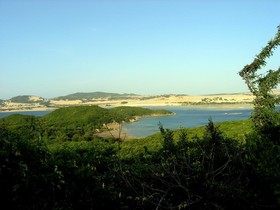 Whale Island Resort