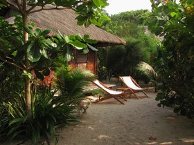 Whale Island Resort