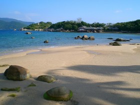 Whale Island Resort