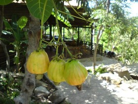 Wild Beach Resort & Spa