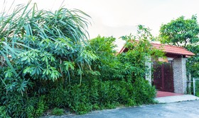Bai Dinh Eco Homestay