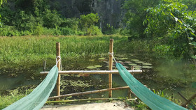 Chez Beo Homestay