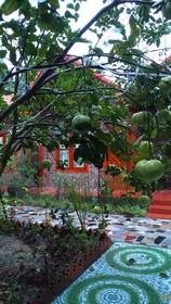 Thanh Dat Homestay
